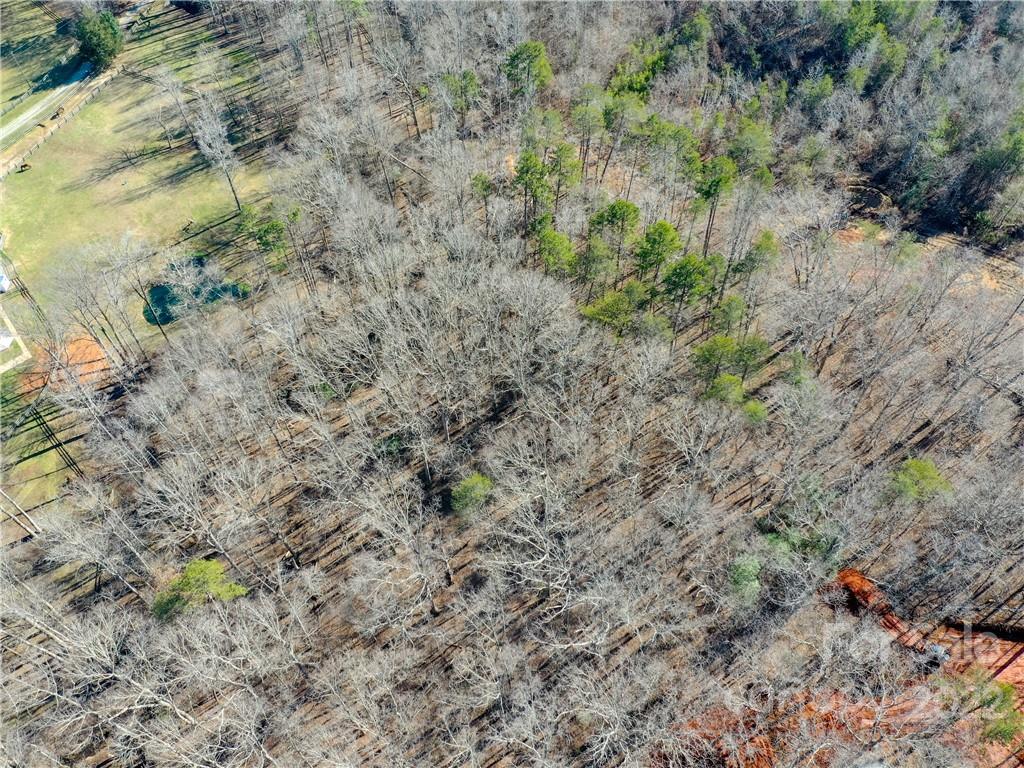 5 Riva Ridge Lane Columbus, NC 28722 - Photo 11 of 12 a view of a forest with a tree