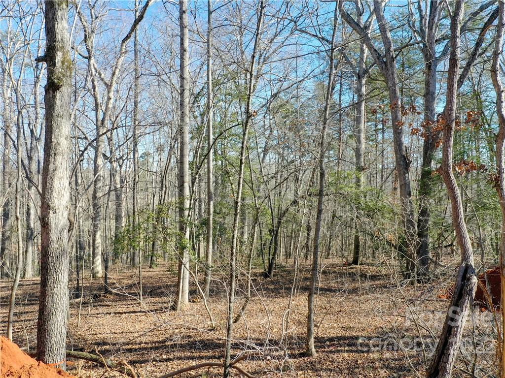 5 Riva Ridge Lane Columbus, NC 28722 - Photo 7 of 12 a backyard of a house with lots of green space