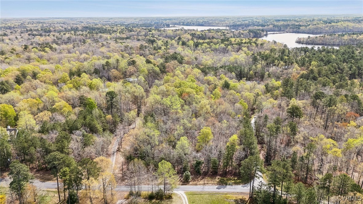 0 Vaidens Pond Road Lanexa, VA 23089 - Photo 23 of 26