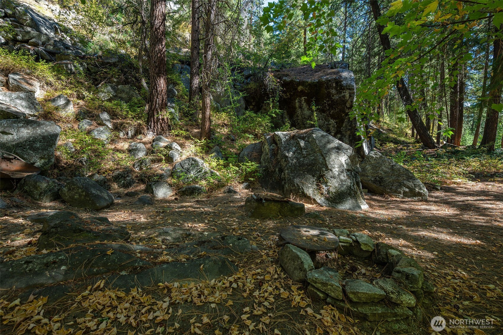 17972 Entiat River Road Entiat, WA 98822 - Photo 22 of 34 a backyard of a house with lots of green space
