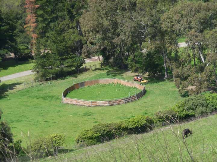 87 Hollister Ranch Road Goleta, CA 93117 - Photo 11 of 19 Round pen
