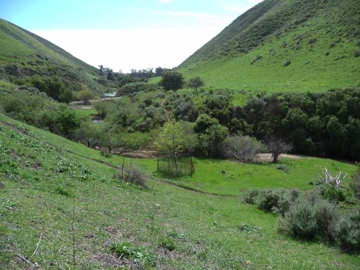 87 Hollister Ranch Road Goleta, CA 93117 - Photo 15 of 19 Santa Anita Creek in front of barns