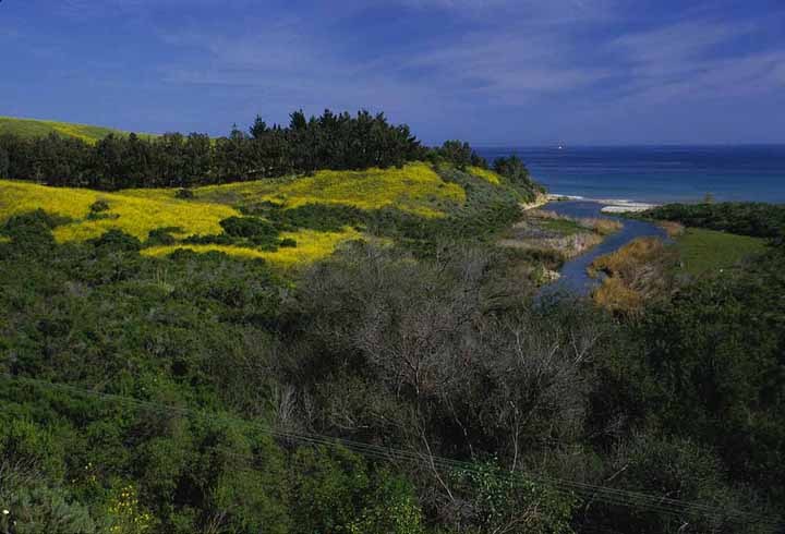 87 Hollister Ranch Road Goleta, CA 93117 - Photo 17 of 19 Drakes Beach Cabaña & estuary