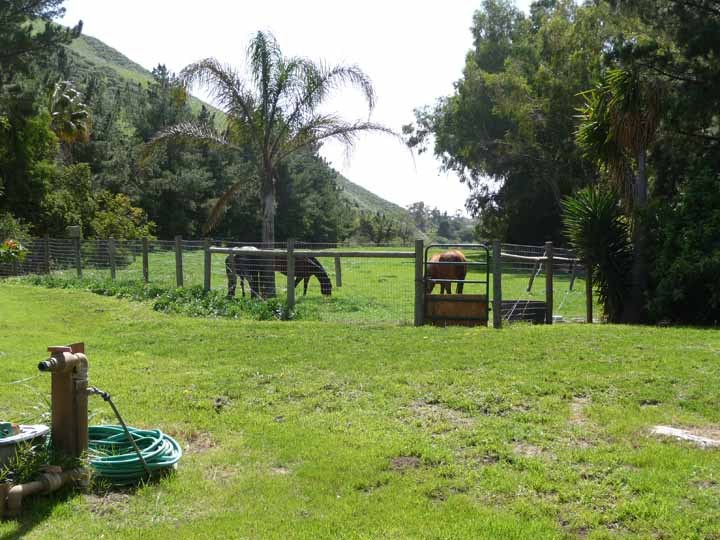 87 Hollister Ranch Road Goleta, CA 93117 - Photo 8 of 19 Main horse pasture looking south