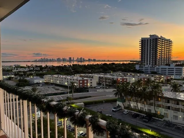 a view of park with palm trees
