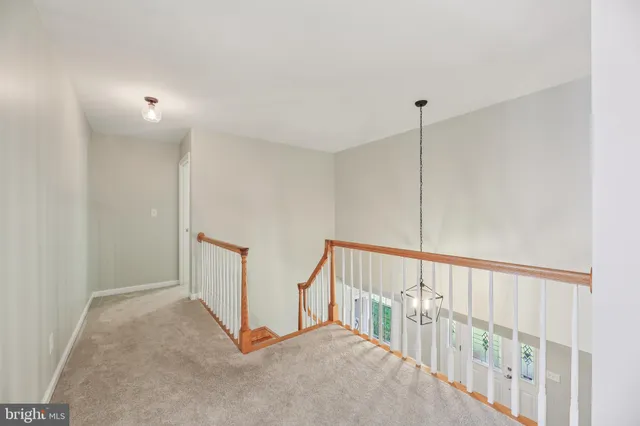 a view of a yard with plants