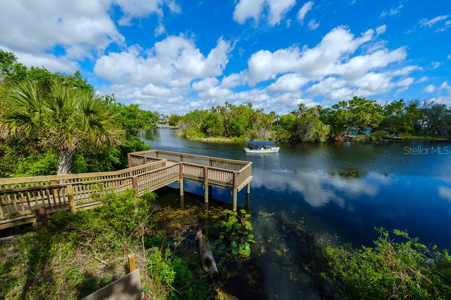 6619 Copper Ridge Trail Bradenton, FL 34201 - Photo 31 of 32