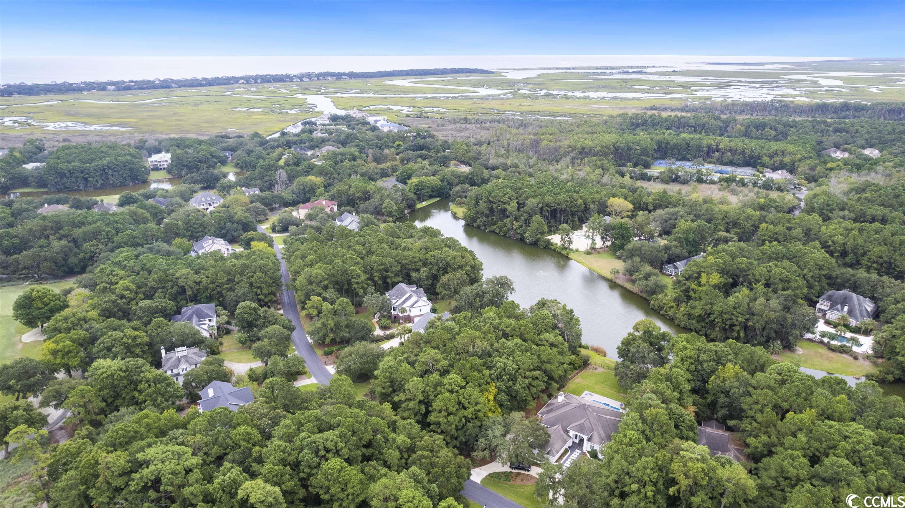 Lot 248 Pinckney Road Georgetown, SC 29440 - Photo 3 of 14 Gallery Image 3