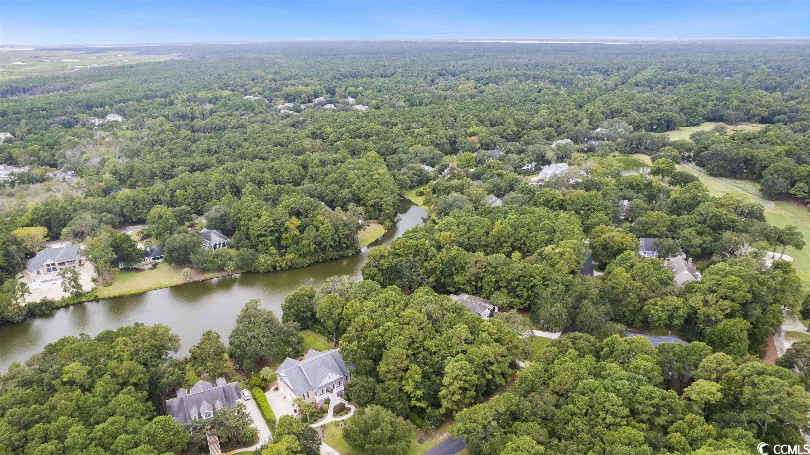 Lot 248 Pinckney Road Georgetown, SC 29440 - Photo 5 of 14 Gallery Image 5