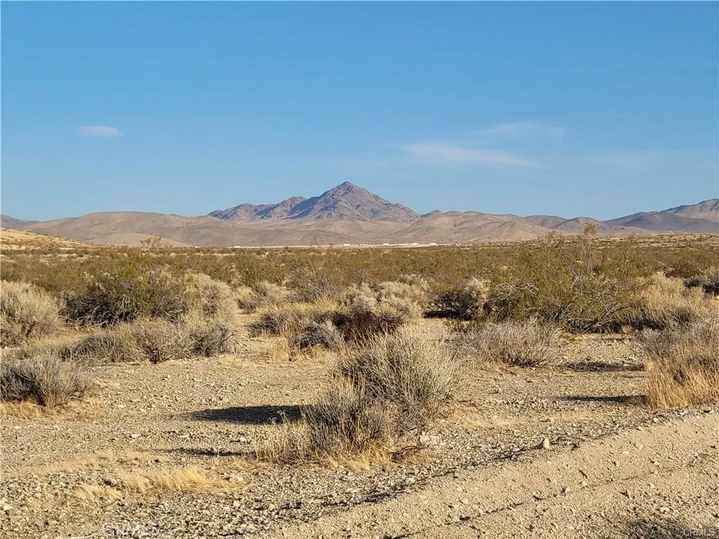 0 Buckboard Road, Unit 41903102 Barstow, CA 92311 - Photo 6 of 11 40 ac