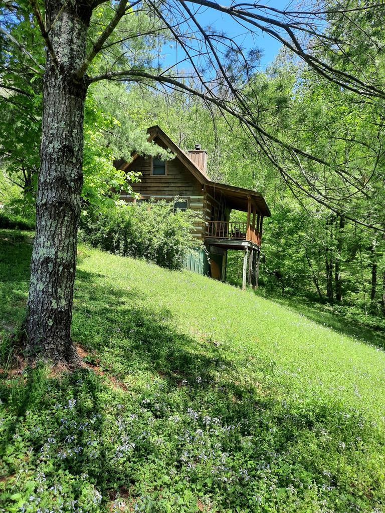 929925 Cavern Road Townsend, TN 37882 - Photo 24 of 45