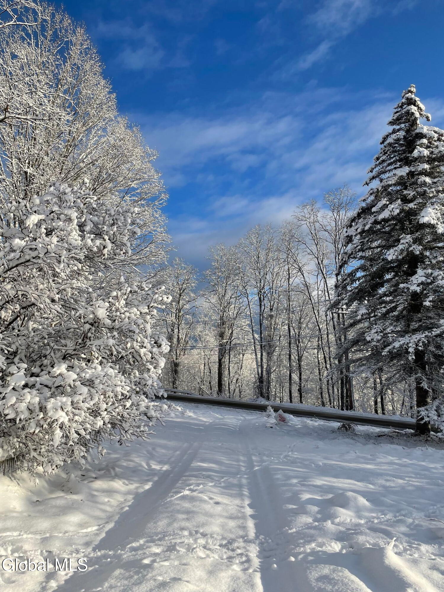 763 Turnpike Road Eagle Bridge, NY 12057 - Photo 83 of 96 Winter