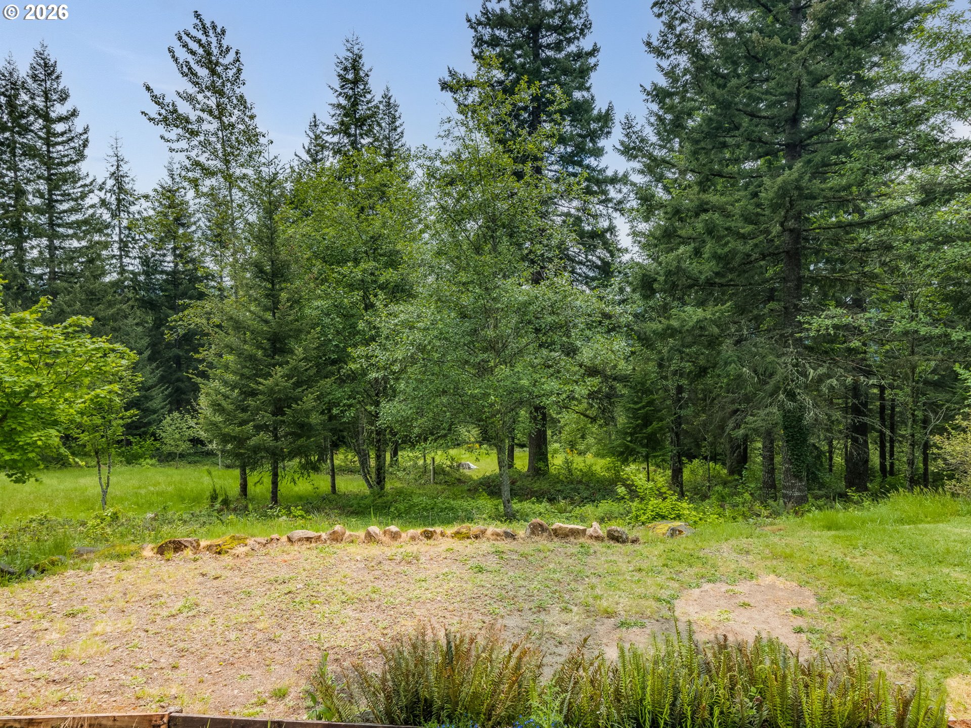 48140 Southeast Linhart Butte Road Sandy, OR 97055 - Photo 5 of 47 a view of a yard with plants and large trees
