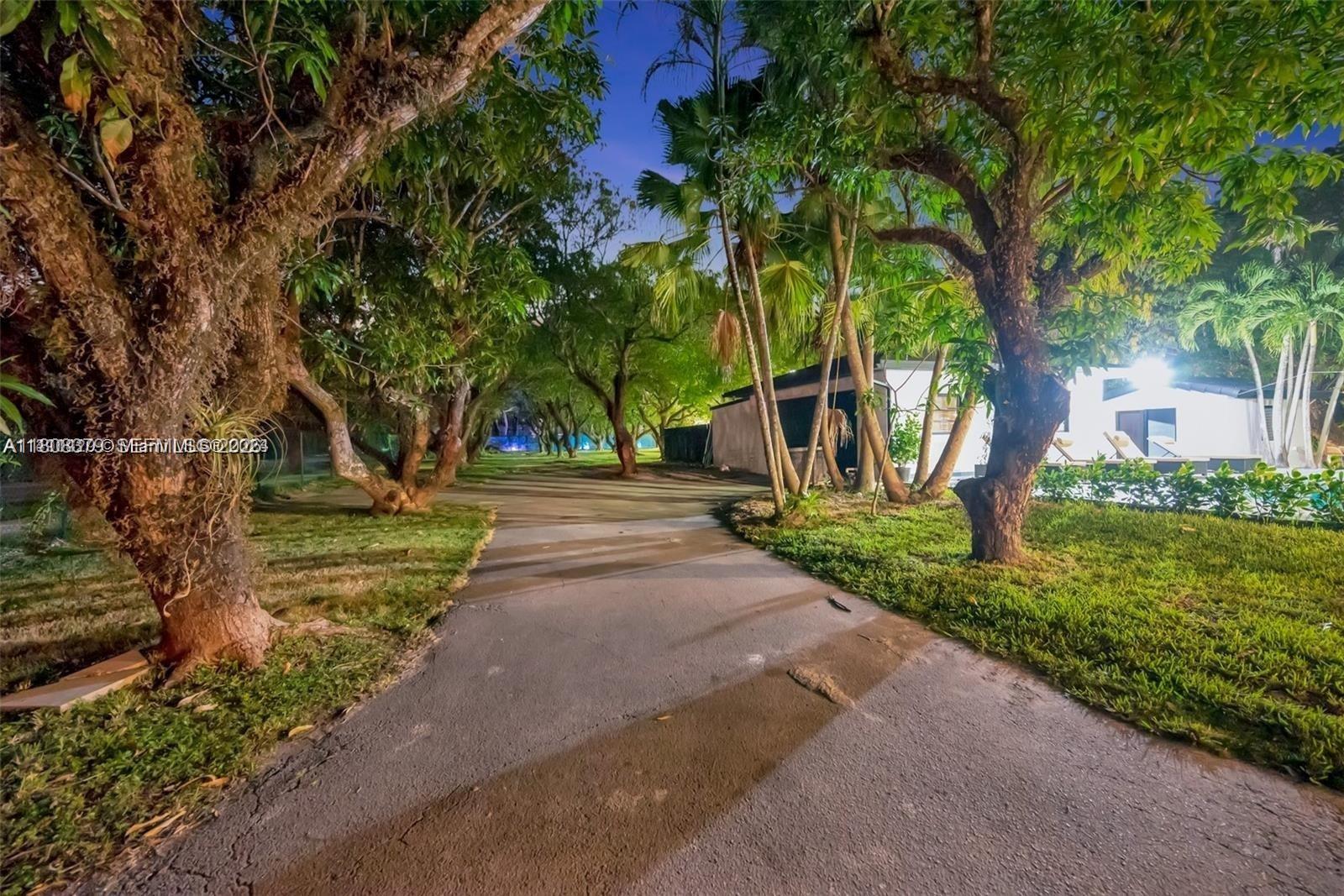 7335 Southwest 104th Street Pinecrest, FL 33156 - Photo 35 of 36 a view of a yard with plants and trees
