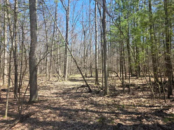 $49,000 | 7696 Muskegon Boulevard, Newaygo, MI 49337