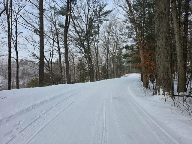 $59,000 | 7696 Muskegon Boulevard, Newaygo, MI 49337