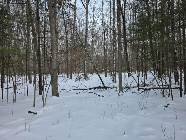 $59,000 | 7696 Muskegon Boulevard, Newaygo, MI 49337