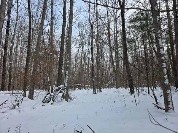 $59,000 | 7696 Muskegon Boulevard, Newaygo, MI 49337