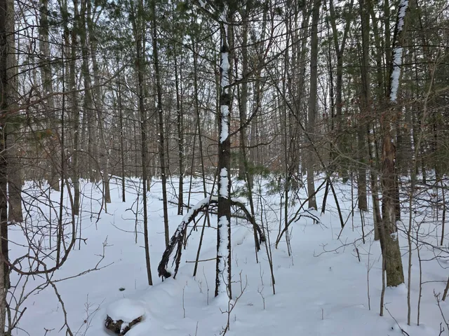 $59,000 | 7696 Muskegon Boulevard, Newaygo, MI 49337