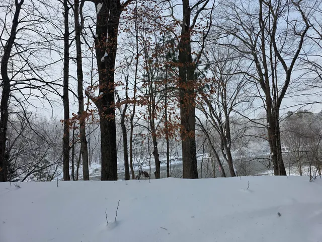 $59,000 | 7696 Muskegon Boulevard, Newaygo, MI 49337