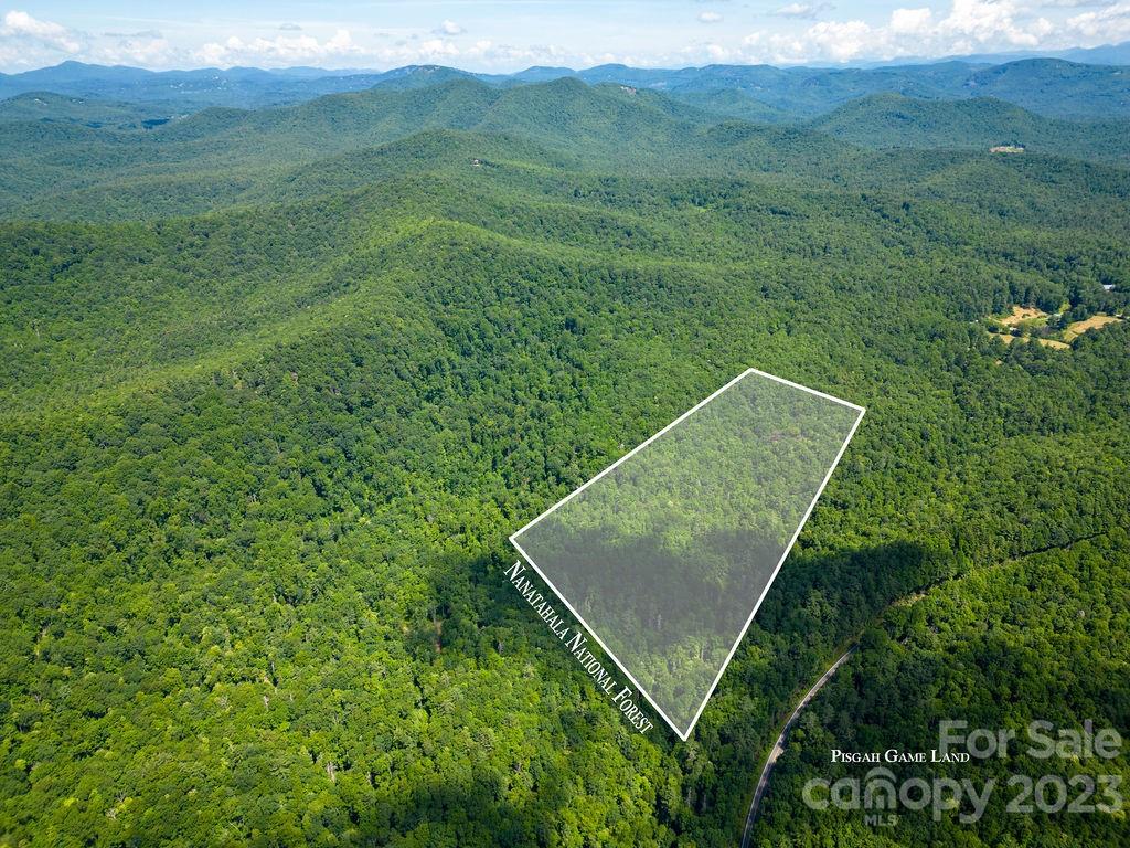 a view of a field with an tree