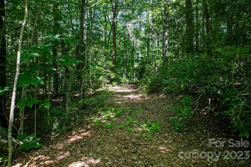 Tbd Whitewater Road Sapphire, NC 28774 - Photo 3 of 12 a view of a lush green forest