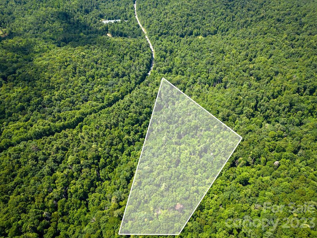Tbd Whitewater Road Sapphire, NC 28774 - Photo 6 of 12 a view of a garden