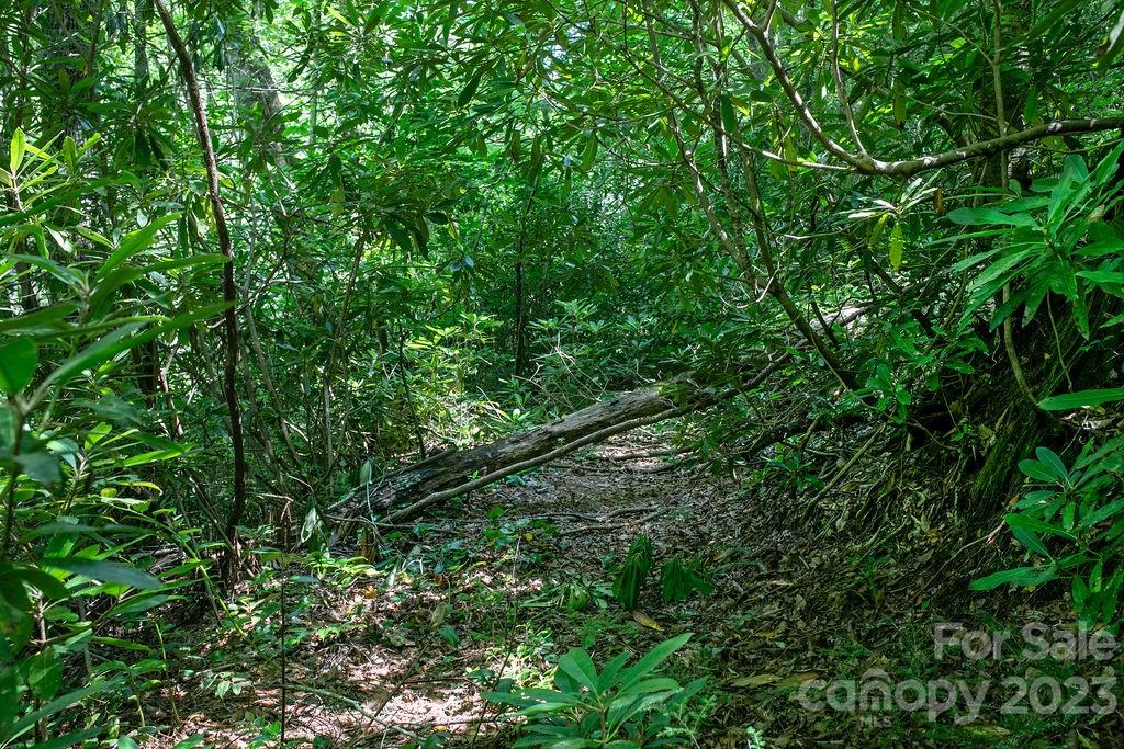 Tbd Whitewater Road Sapphire, NC 28774 - Photo 7 of 12 an aerial view of a house with a plant