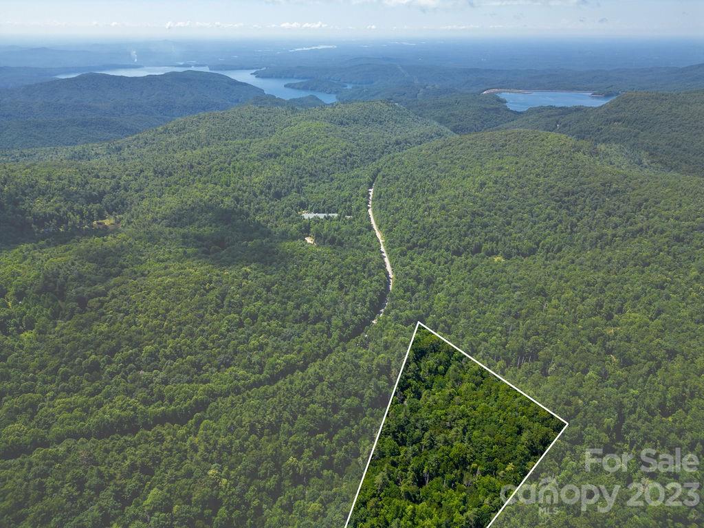 Tbd Whitewater Road Sapphire, NC 28774 - Photo 10 of 12 a view of a yard