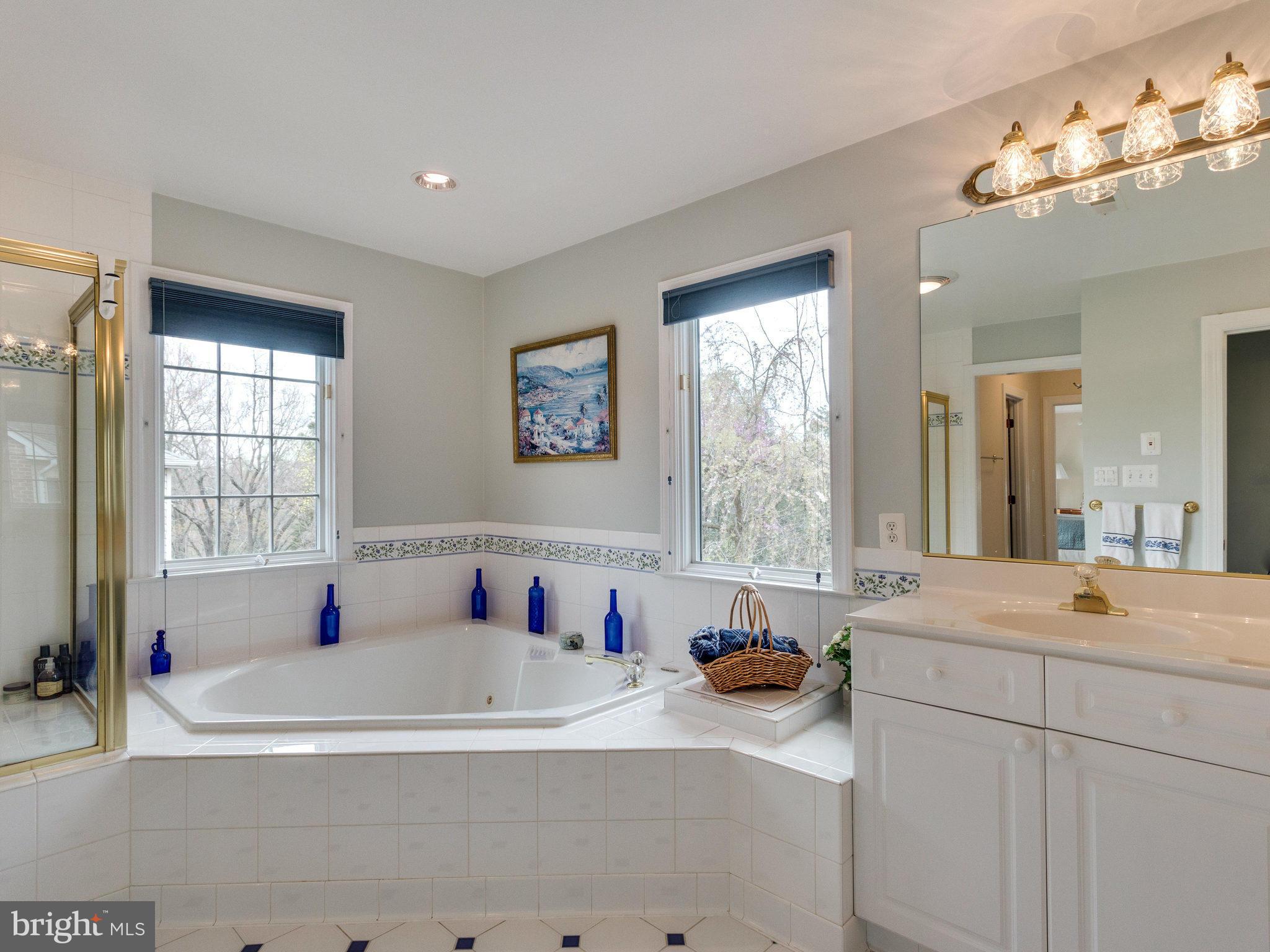 1416 Kurtz Road McLean, VA 22101 - Photo 17 of 30 Bath (Master)