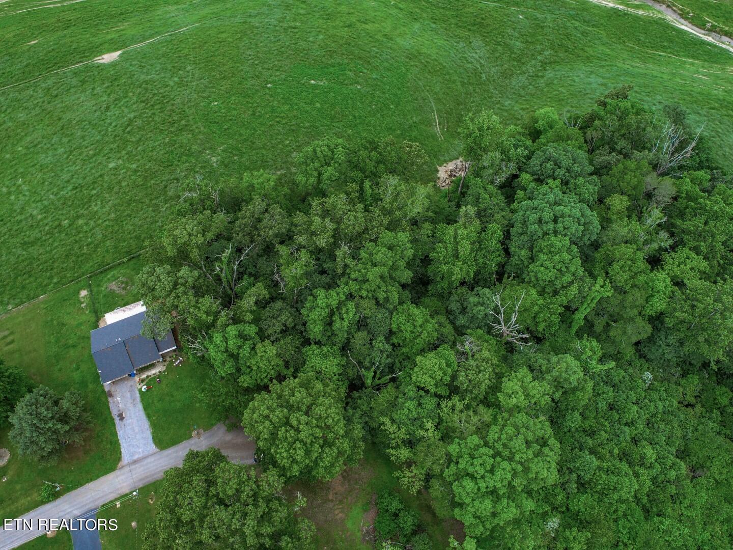 Lot 5 Rustic Drive Newport, TN 37821 - Photo 11 of 28 10
