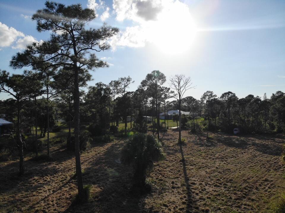 0 Tree Top Trail Fort Pierce, FL 34951 - Photo 2 of 5 a view of a forest with a tree