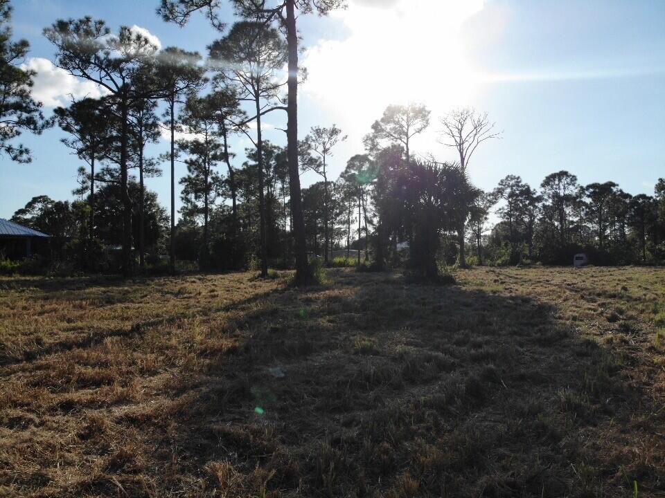 0 Tree Top Trail Fort Pierce, FL 34951 - Photo 4 of 5 a view of outdoor space and yard