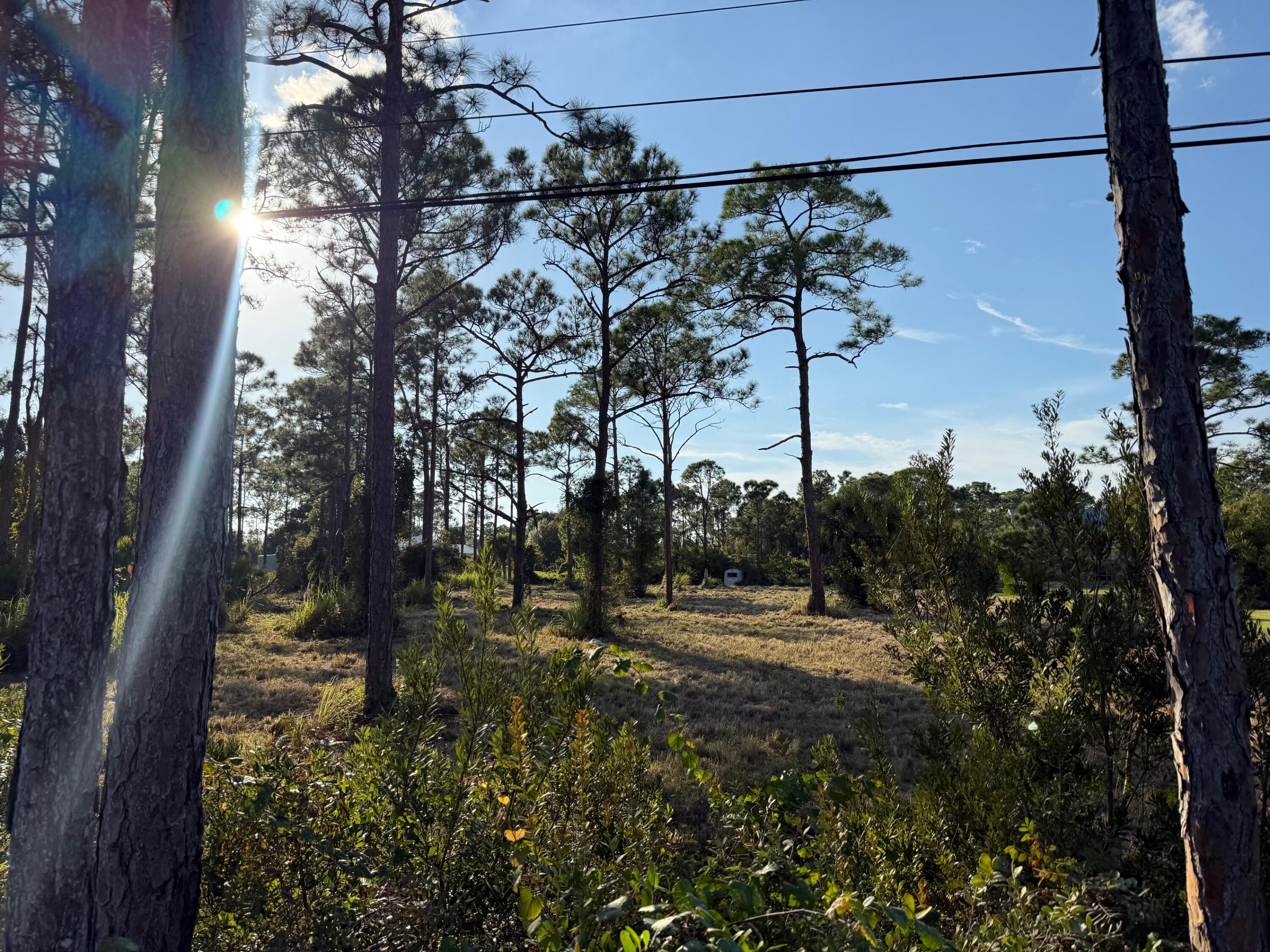0 Tree Top Trail Fort Pierce, FL 34951 - Photo 5 of 5 a view of a yard with a tree