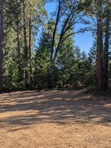 a view of a house with a forest