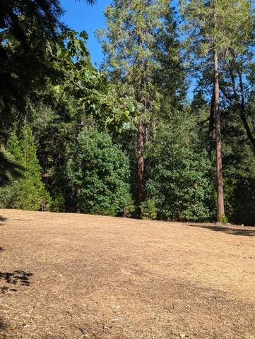 a view of an outdoor space and trees