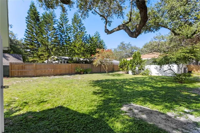 a view of a backyard with a tree