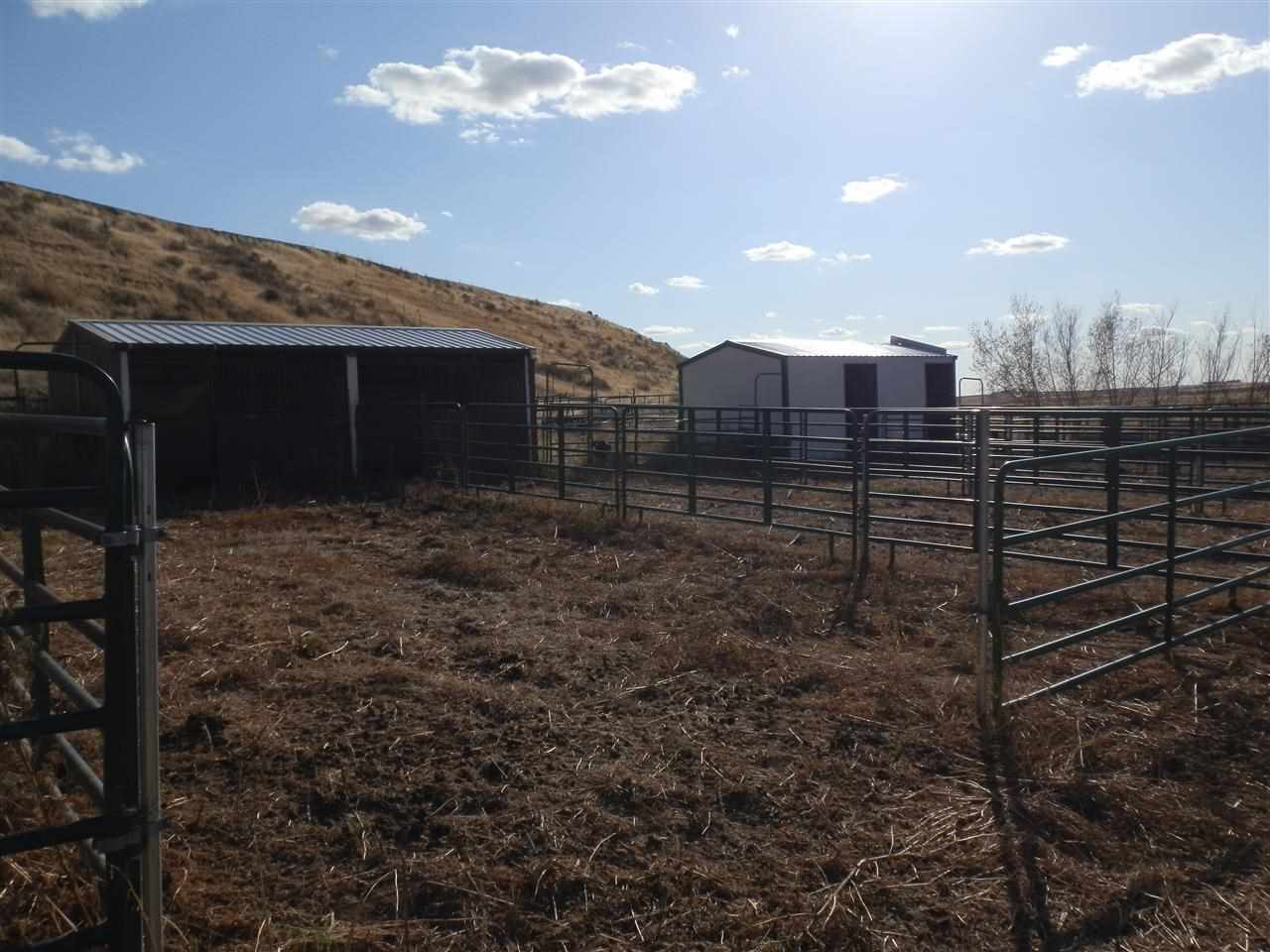 0 Lee Road Washtucna, WA 99371 - Photo 8 of 10