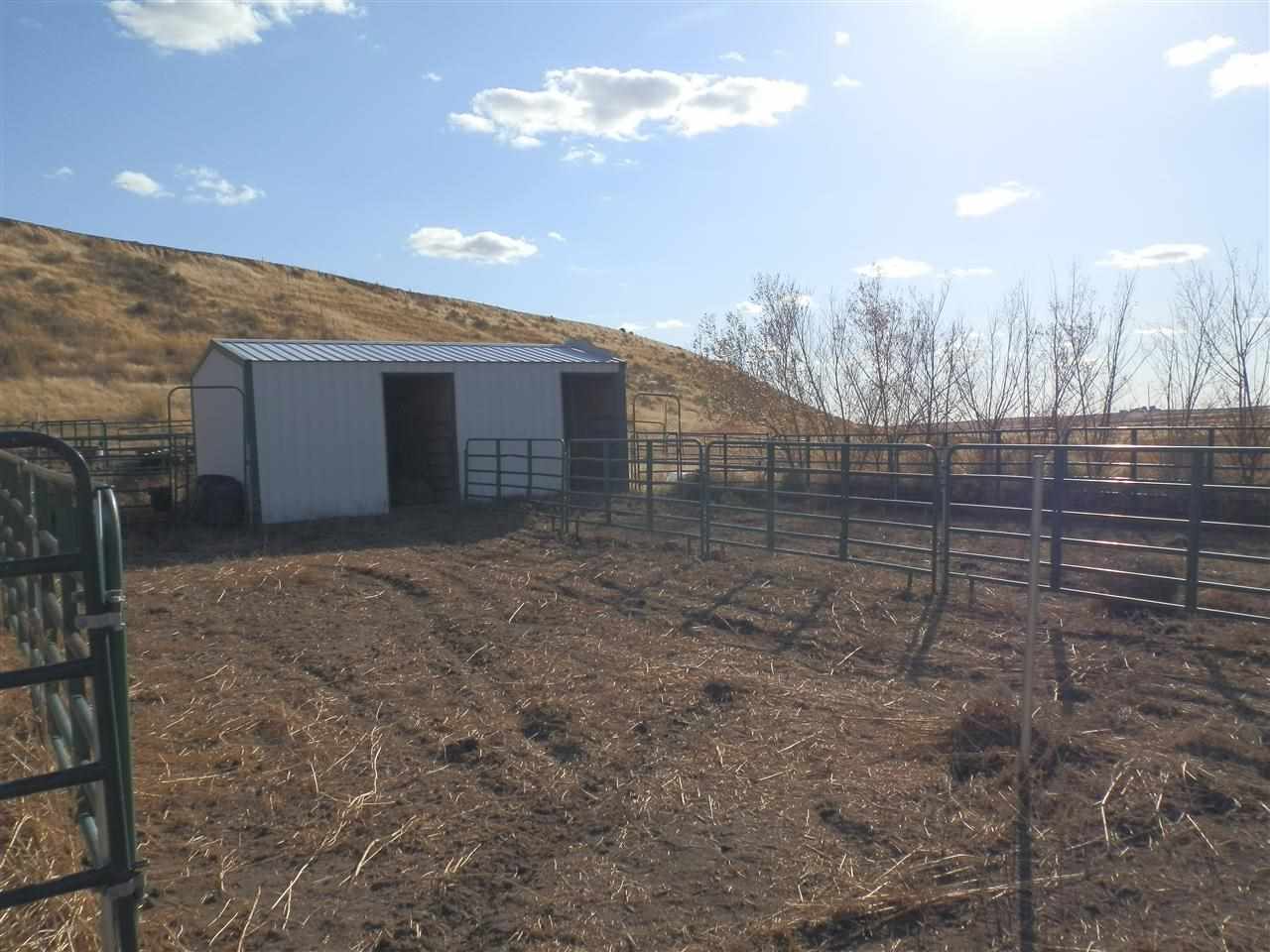 0 Lee Road Washtucna, WA 99371 - Photo 9 of 10