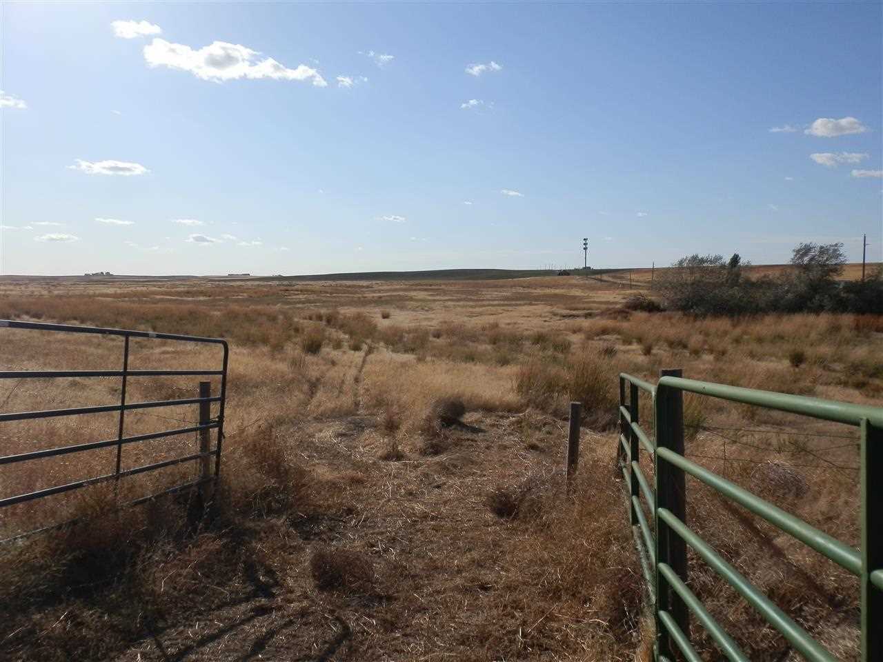 0 Lee Road Washtucna, WA 99371 - Photo 10 of 10