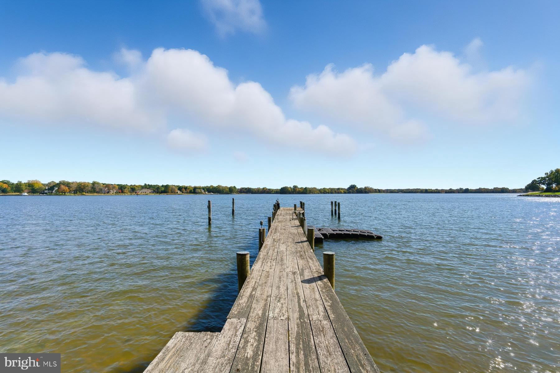 8515 Deep Cove Road Easton, MD 21601 - Photo 44 of 55 Private Pier