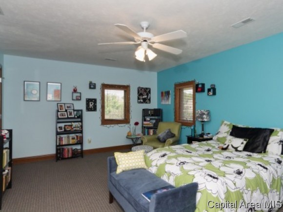 2309 Mariners Point Lane Springfield, IL 62712 - Photo 19 of 24