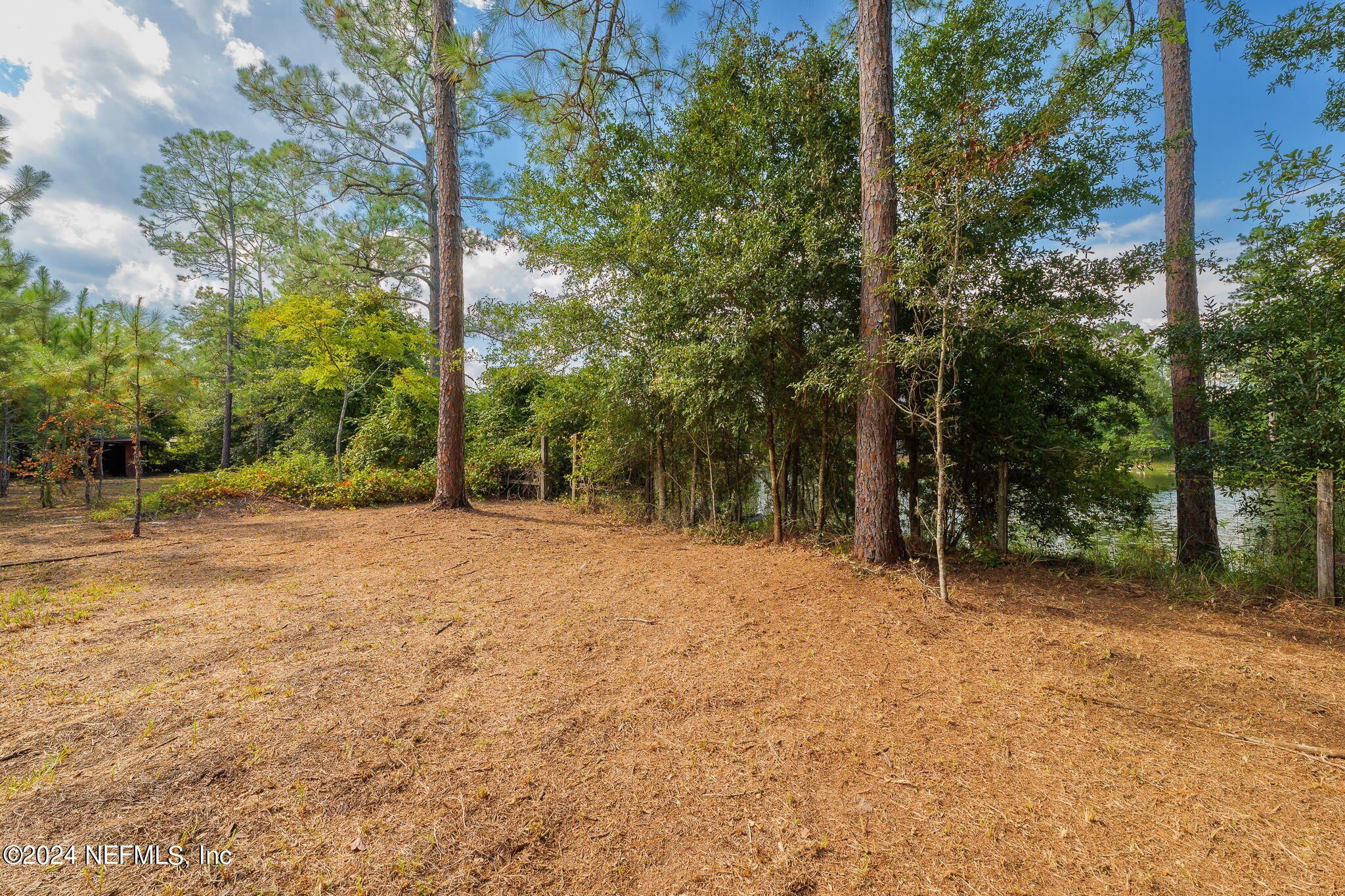 108 Howard Drive Interlachen, FL 32148 - Photo 11 of 18 a backyard of a house with lots of trees