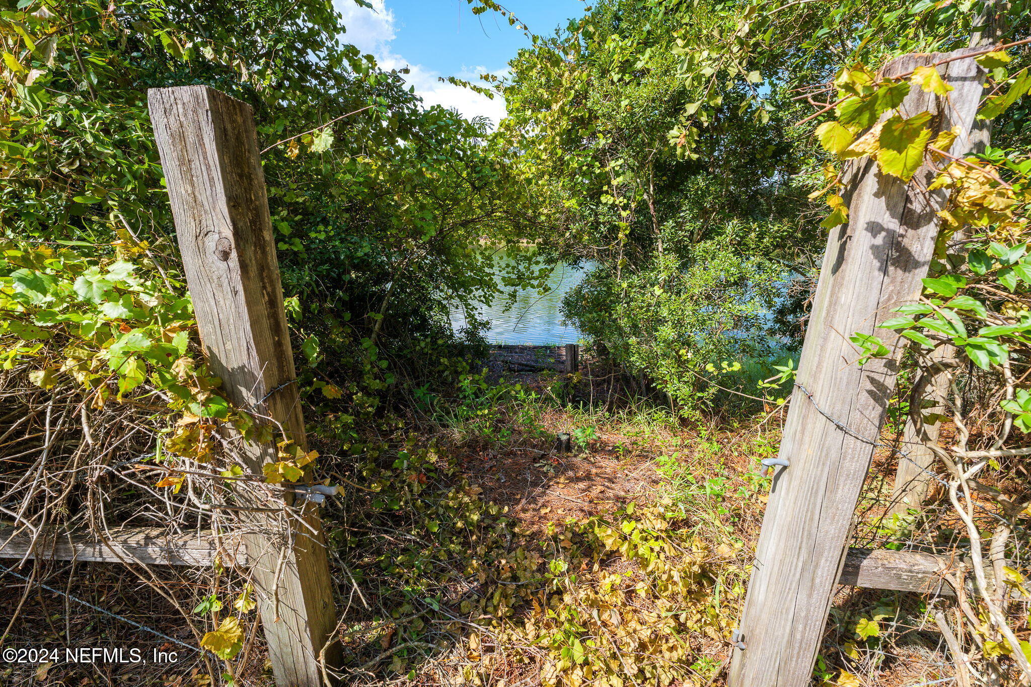 108 Howard Drive Interlachen, FL 32148 - Photo 12 of 18 a view of a garden