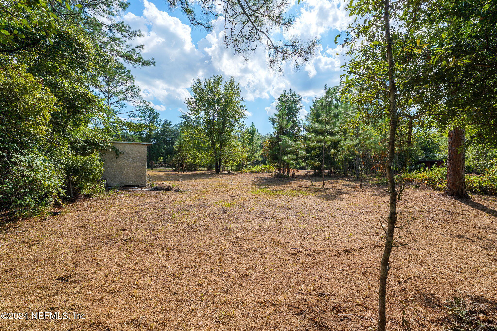 108 Howard Drive Interlachen, FL 32148 - Photo 13 of 18 a backyard of a house with lots of green space