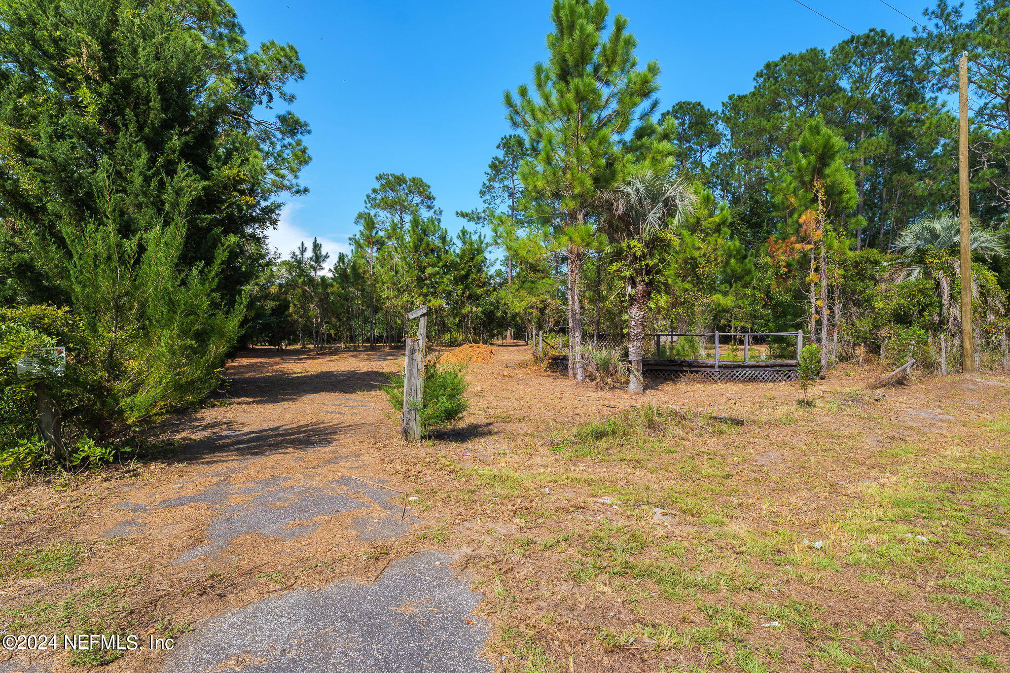 108 Howard Drive Interlachen, FL 32148 - Photo 14 of 18 a view of yard with trees