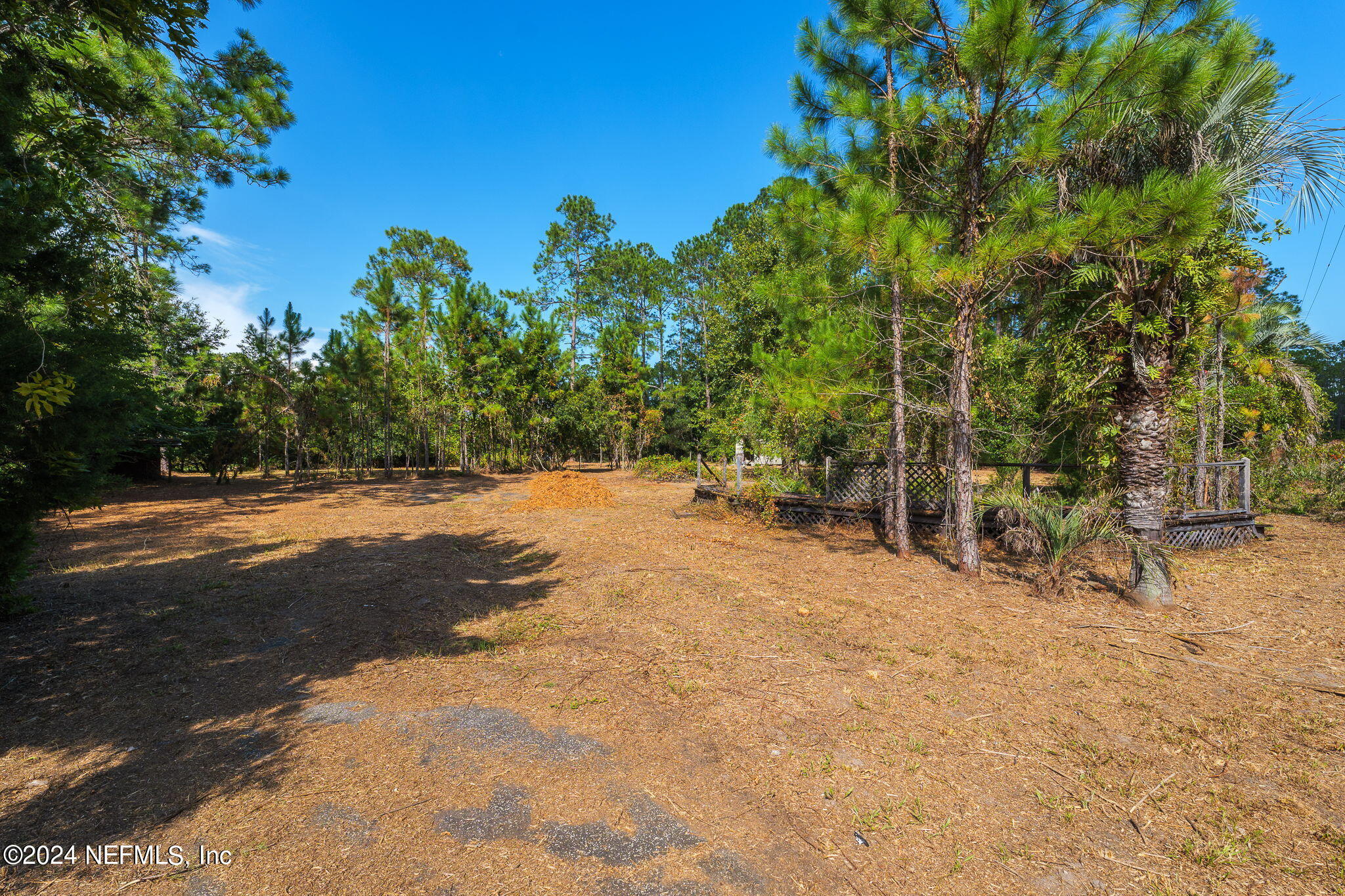 108 Howard Drive Interlachen, FL 32148 - Photo 15 of 18 a view of backyard with large trees
