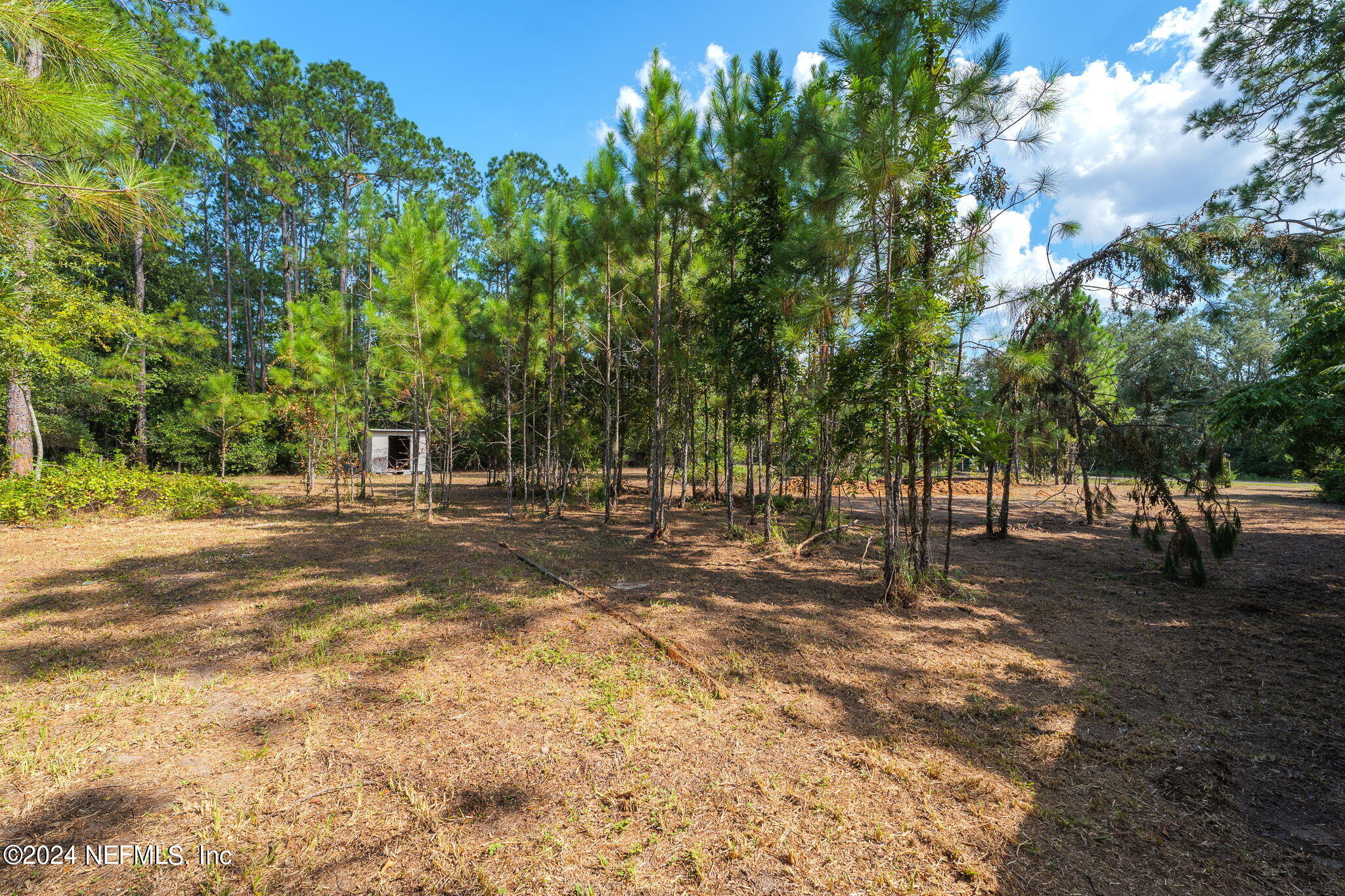 108 Howard Drive Interlachen, FL 32148 - Photo 17 of 18 a view of a tree in a yard