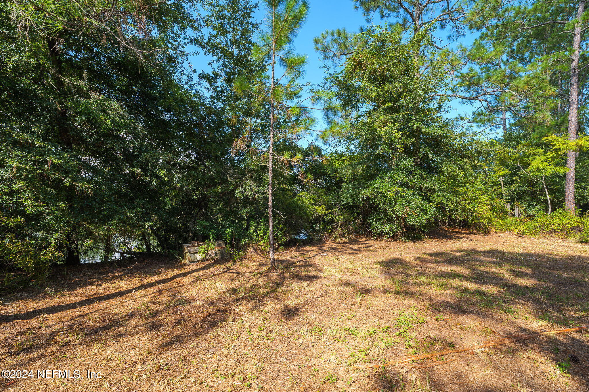 108 Howard Drive Interlachen, FL 32148 - Photo 18 of 18 a view of a yard with a tree