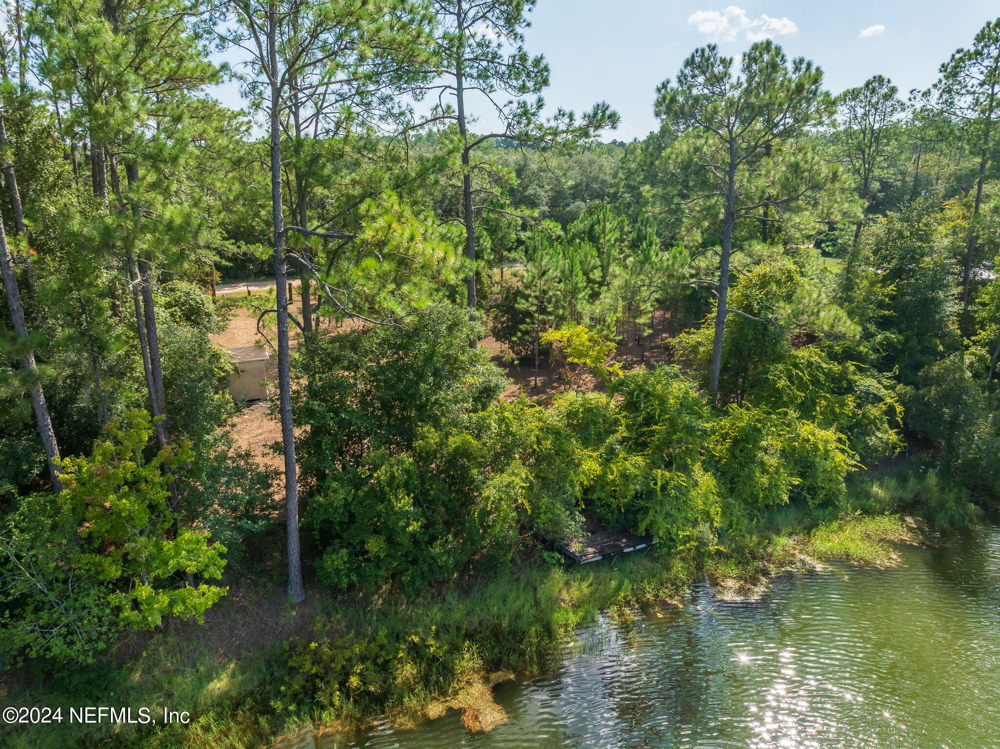 108 Howard Drive Interlachen, FL 32148 - Photo 7 of 18 a view of a garden